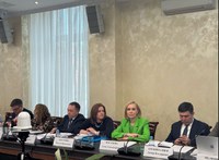 Заместитель председателя Общественной палаты Магнитогорска Елена Фасахова приняла участие в заседании рабочей группе по вопросам социального сиротства