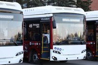 Итоги голосования в опросе (развитие системы общественного транспорта)